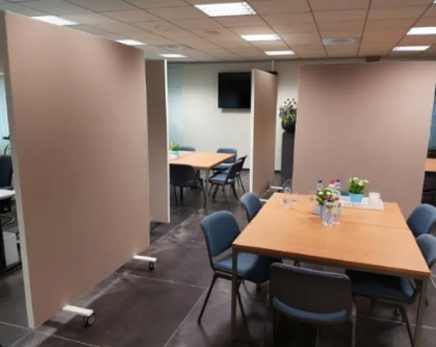 Room Divider 6
