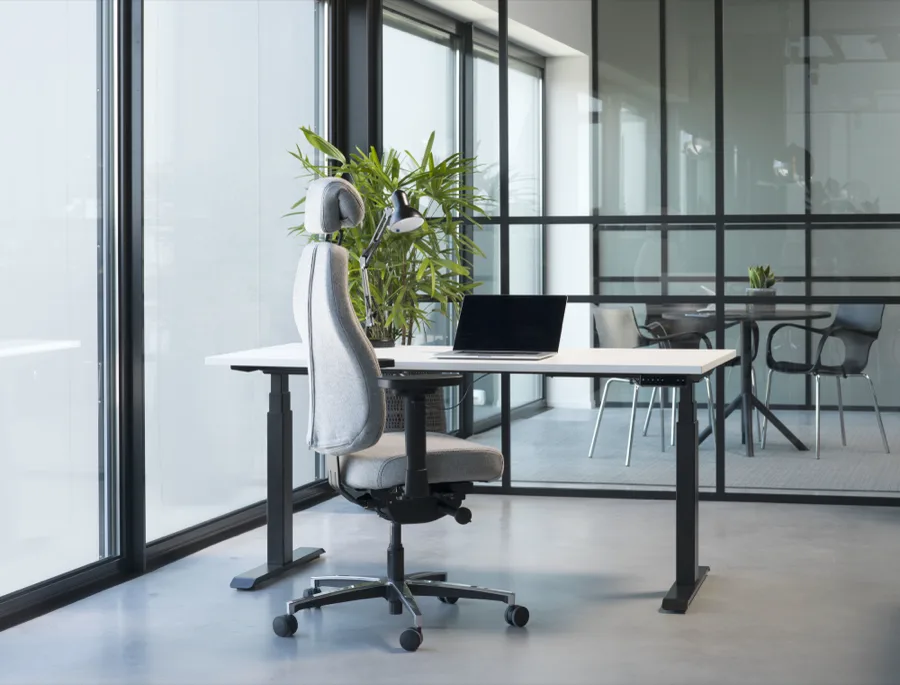 Therapod X HR in stof Gabriel Fame zwart 3