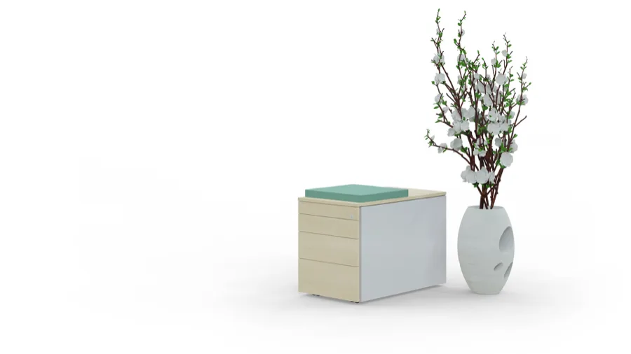 Rolcontainer 4